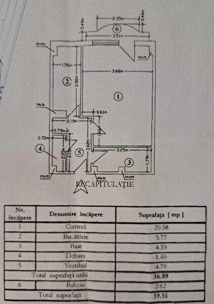 Lacul Tei, Maica Domnului vav Parc Tei,